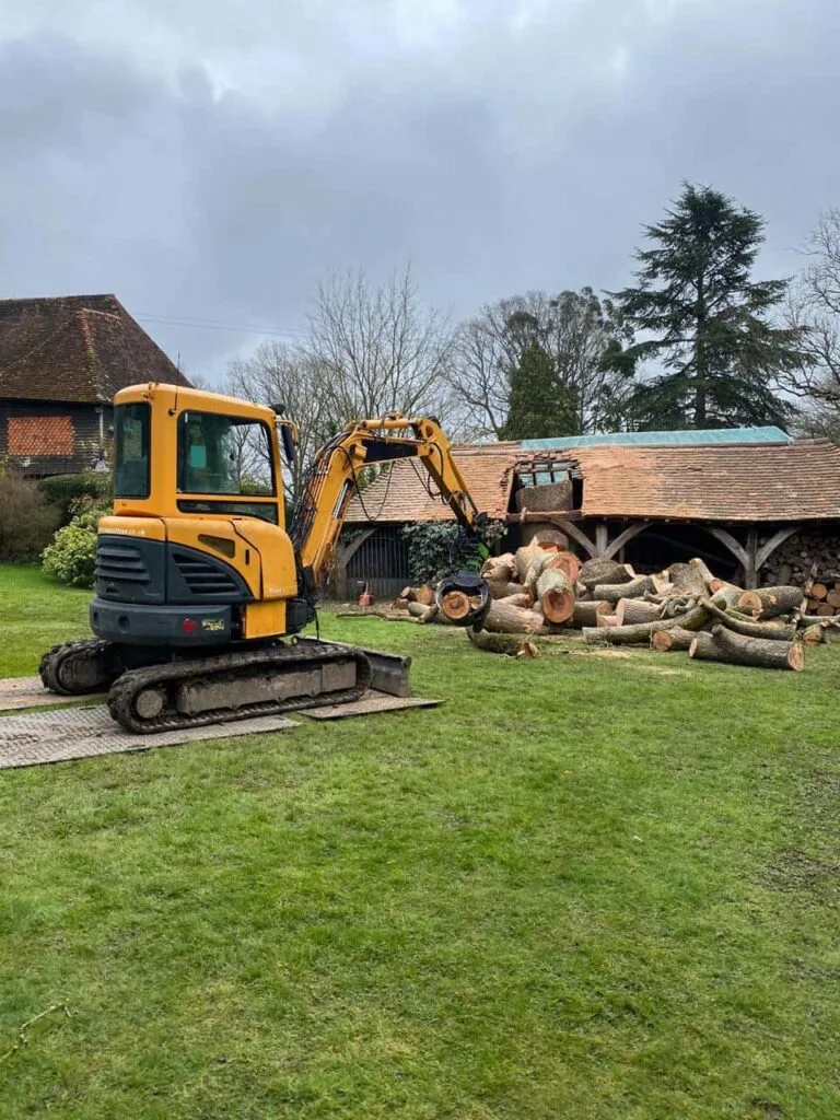 This is a photo of a tree which has grown through the roof of a barn that is being cut down and removed. There is a digger that is removing sections of the tree as well. Ruddington Tree Surgeons