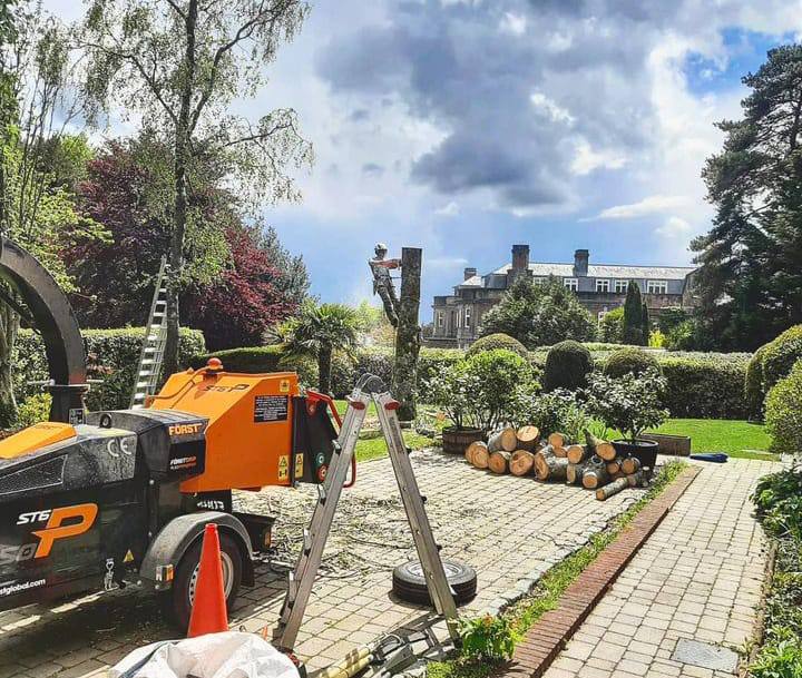 This is a photo of a tree being felled. A tree surgeon is currently removing the last section, the logs are stacked in a pile. Ruddington Tree Surgeons