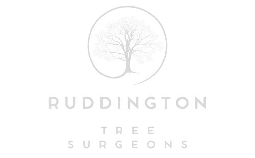 Ruddington Tree Surgeons